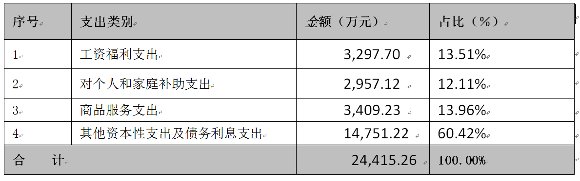 项目支出.png